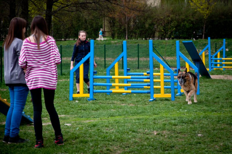 Psi park zostanie przeniesiony o kilkadziesiąt me